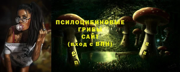 амф Бородино