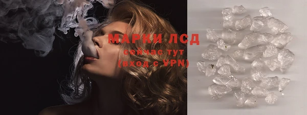 амф Бородино