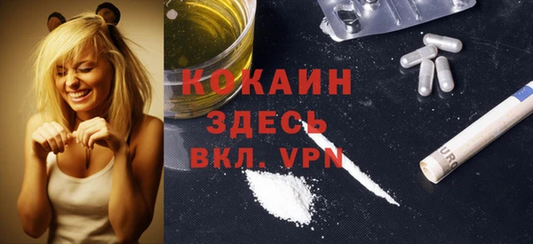 мдпв Верхний Тагил