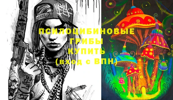 бошки Верея
