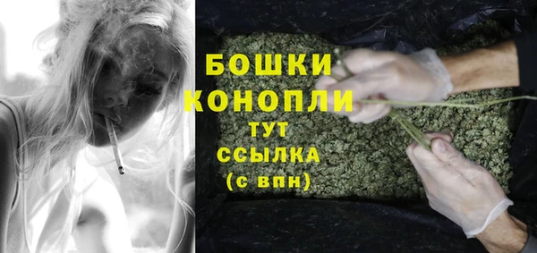амф Бородино