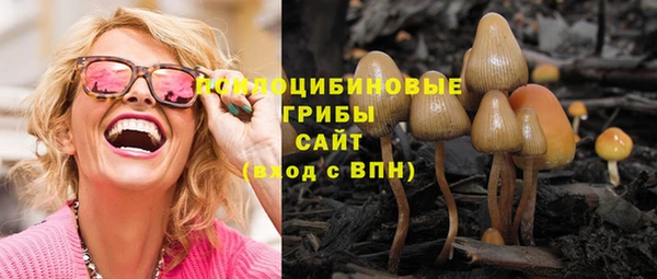 мдпв Верхний Тагил